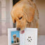 Empreinte Chien Encre Facile Easy Dogprint - One PETS-TOP