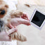Empreinte Chien Encre Facile Easy Dogprint - One PETS-TOP