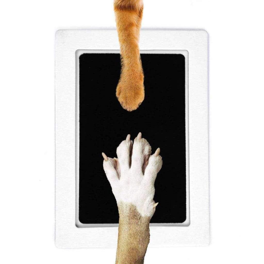 Empreinte Chien Encre Facile Easy Dogprint - One PETS-TOP
