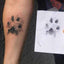 Empreinte Chien Encre Facile Easy Dogprint - One PETS-TOP