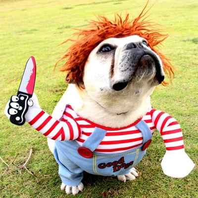 Fantaisie D'Halloween: Costume Rayé Canin 🐶 - One PETS-TOP