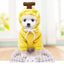 Froggiewarm: Pull Capuche Grenouille Pour Chiens 🐸🐶 - One PETS-TOP
