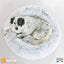 Coussin Dodo Chien & Chat - One PETS-TOP