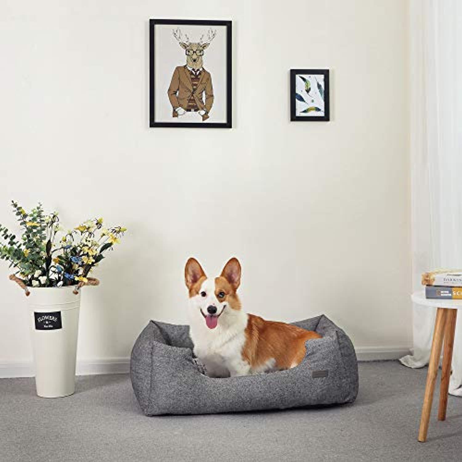 Panier Pour Chien, Lit Pour Chien, Taille M 80 X 60 X 26 Cm, Canapé, Matelas, Avec Coussin Rembourré - One PETS-TOP
