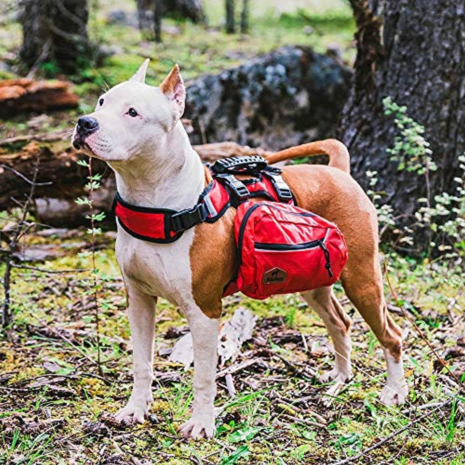 Sac À Dos Réglable Pour Chien Avec Sacoches, Idéal Pour La Randonnée - One PETS-TOP