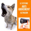 Système Anti Aboiement Pour Chien - One PETS-TOP