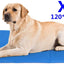 Tapis Rafraichissant Chien Plus Durable Mise A  Niveau Tissu Oxford+Pvc D'Epaisseur 0.4Mm Tapis De Refroidissement Automatique Pour Animaux De Compagnie - One PETS-TOP