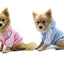 Vêtements Pour Animaux, Adidog Chien Chat À Capuche Vêtements Chiot Pull Chaud À Capuche Chaud Qicheng & Lys (Gris, L) - One PETS-TOP