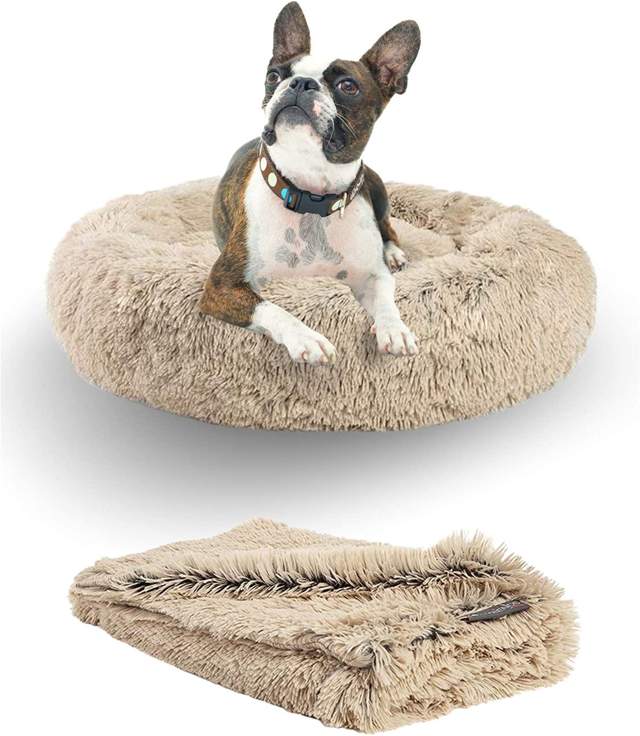 Panier apaisant pour chien – DODO Donut™ orthopédique & anti - stress - One PETS - TOP