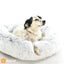Panier apaisant pour chien – DODO Donut™ orthopédique & anti - stress - One PETS - TOP