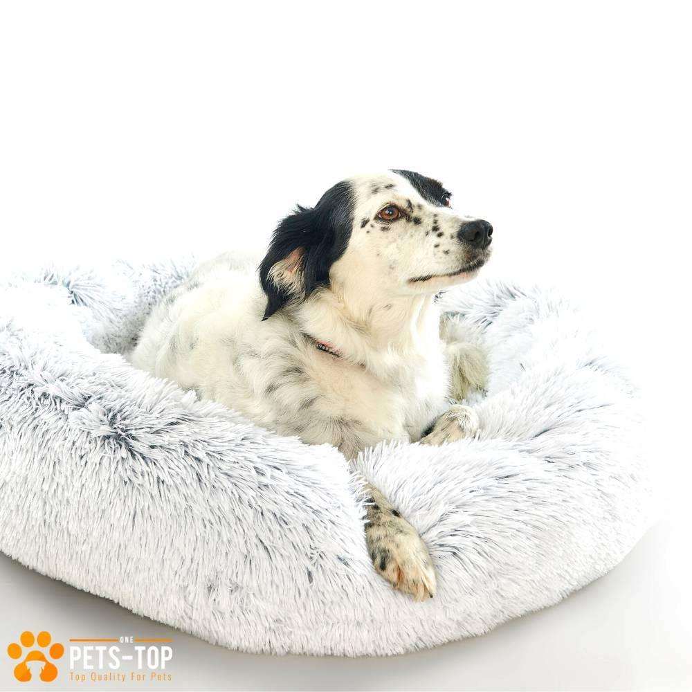 Panier apaisant pour chien – DODO Donut™ orthopédique & anti - stress - One PETS - TOP
