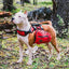 Sac À Dos Réglable Pour Chien Avec Sacoches, Idéal Pour La Randonnée - One PETS - TOP