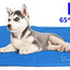 Tapis Rafraichissant Chien Plus Durable Mise A  Niveau Tissu Oxford+Pvc D'Epaisseur 0.4Mm Tapis De Refroidissement Automatique Pour Animaux De Compagnie - One PETS - TOP